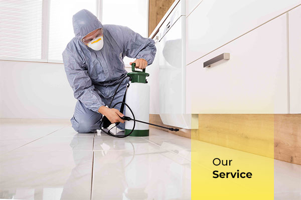 Jasa Pest Control